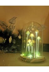 SDW Giftware & Lifestyle - Mushroom LED Glass Dome Display