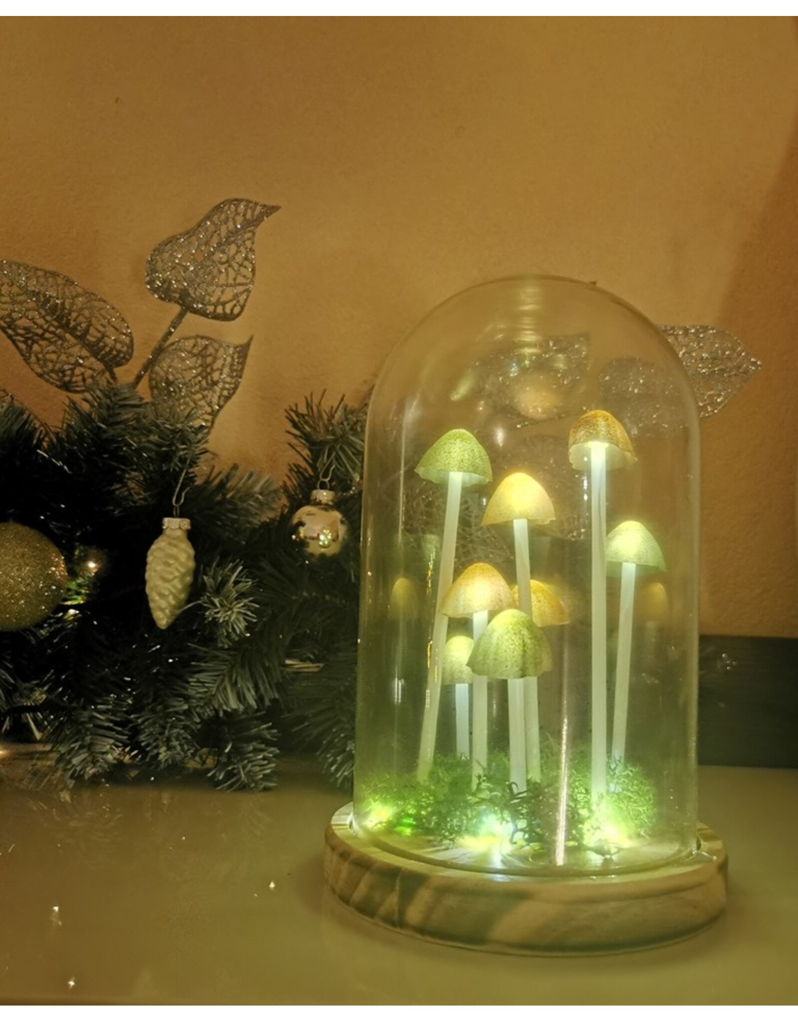 SDW Giftware & Lifestyle - Mushroom LED Glass Dome Display