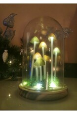SDW Giftware & Lifestyle - Mushroom LED Glass Dome Display
