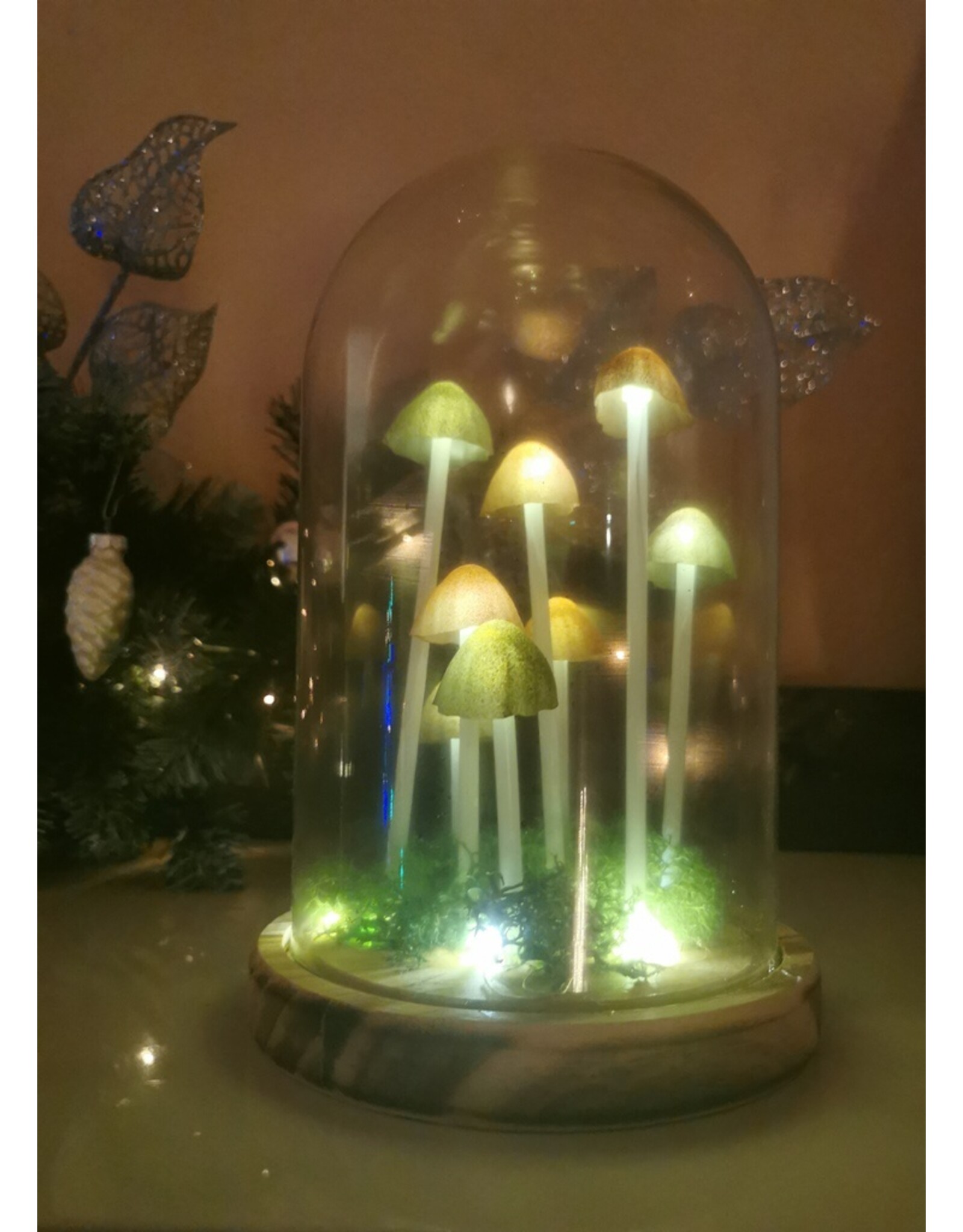 SDW Giftware & Lifestyle - Mushroom LED Glass Dome Display