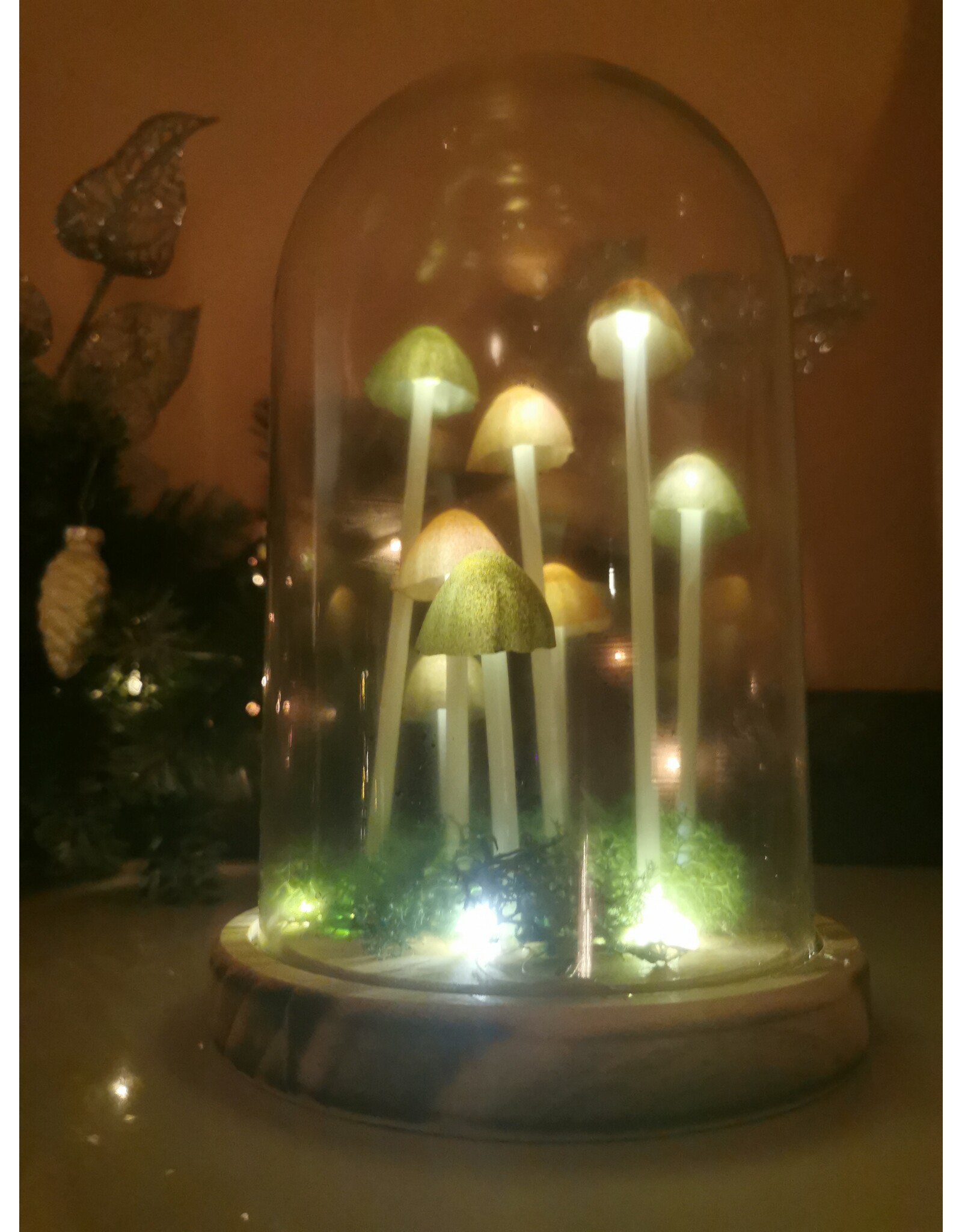 SDW Giftware & Lifestyle - Mushroom LED Glass Dome Display