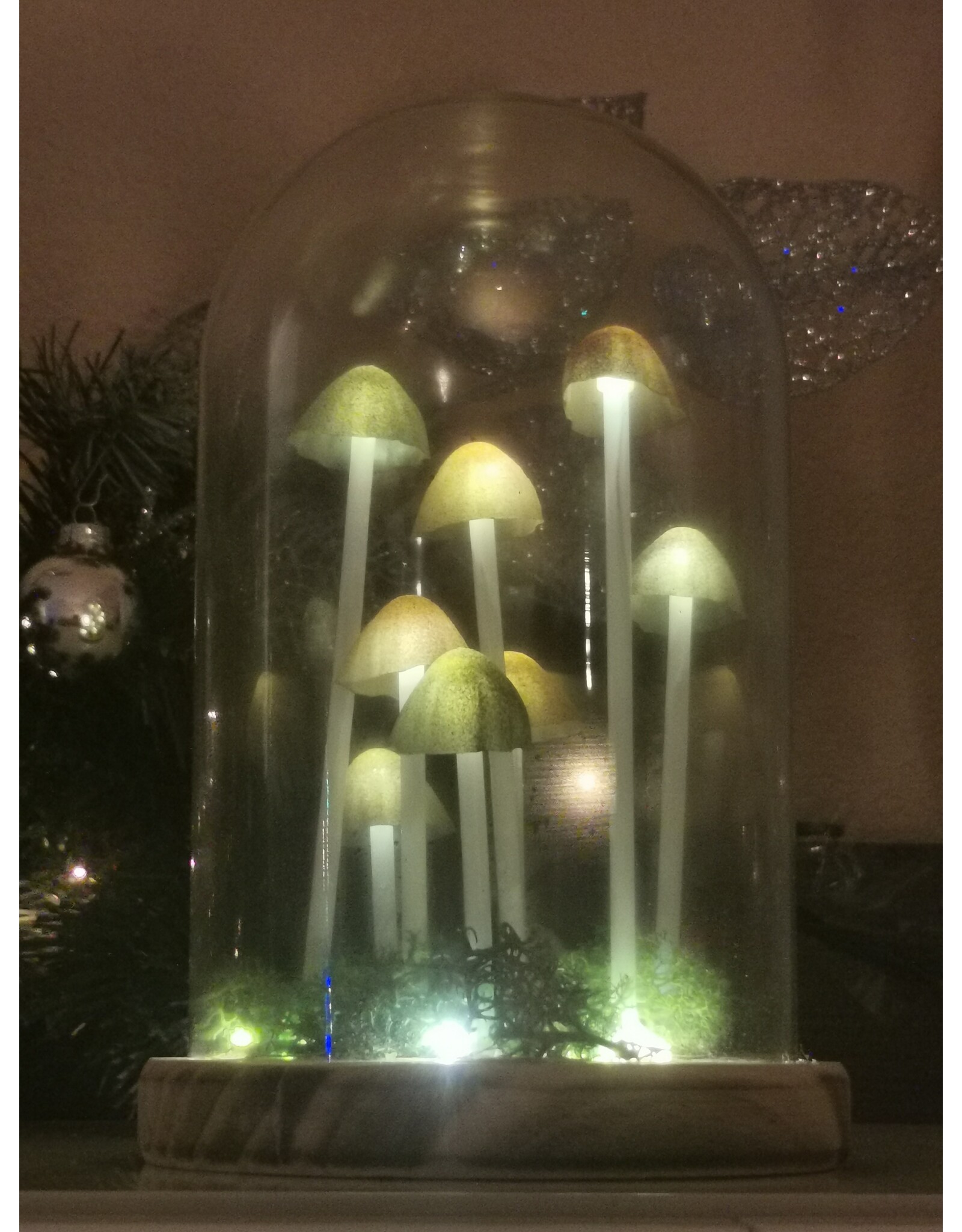 SDW Giftware & Lifestyle - Mushroom LED Glass Dome Display
