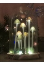 SDW Giftware & Lifestyle - Mushroom LED Glass Dome Display
