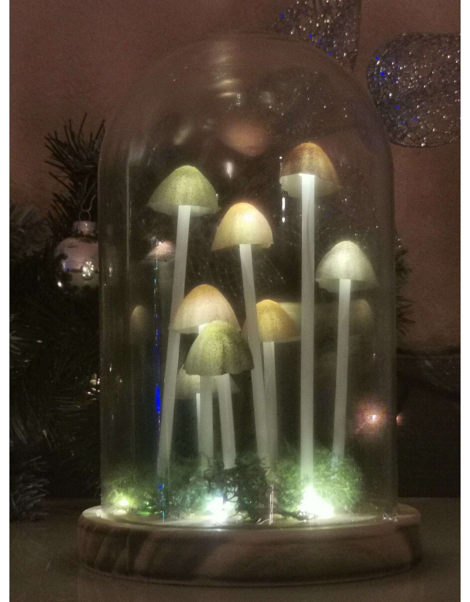 SDW Giftware & Lifestyle - Mushroom LED Glass Dome Display