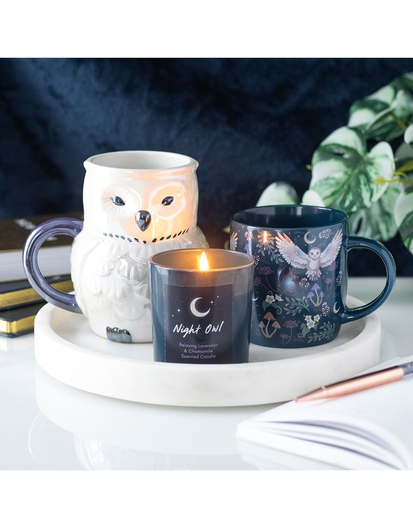 SDW Giftware & Lifestyle - Night Flight - Owl & Magic Forest Mug