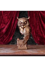 NemesisNow Giftware & Lifestyle - Ohm Owl Steampunk statue 29cm Nemesis Now
