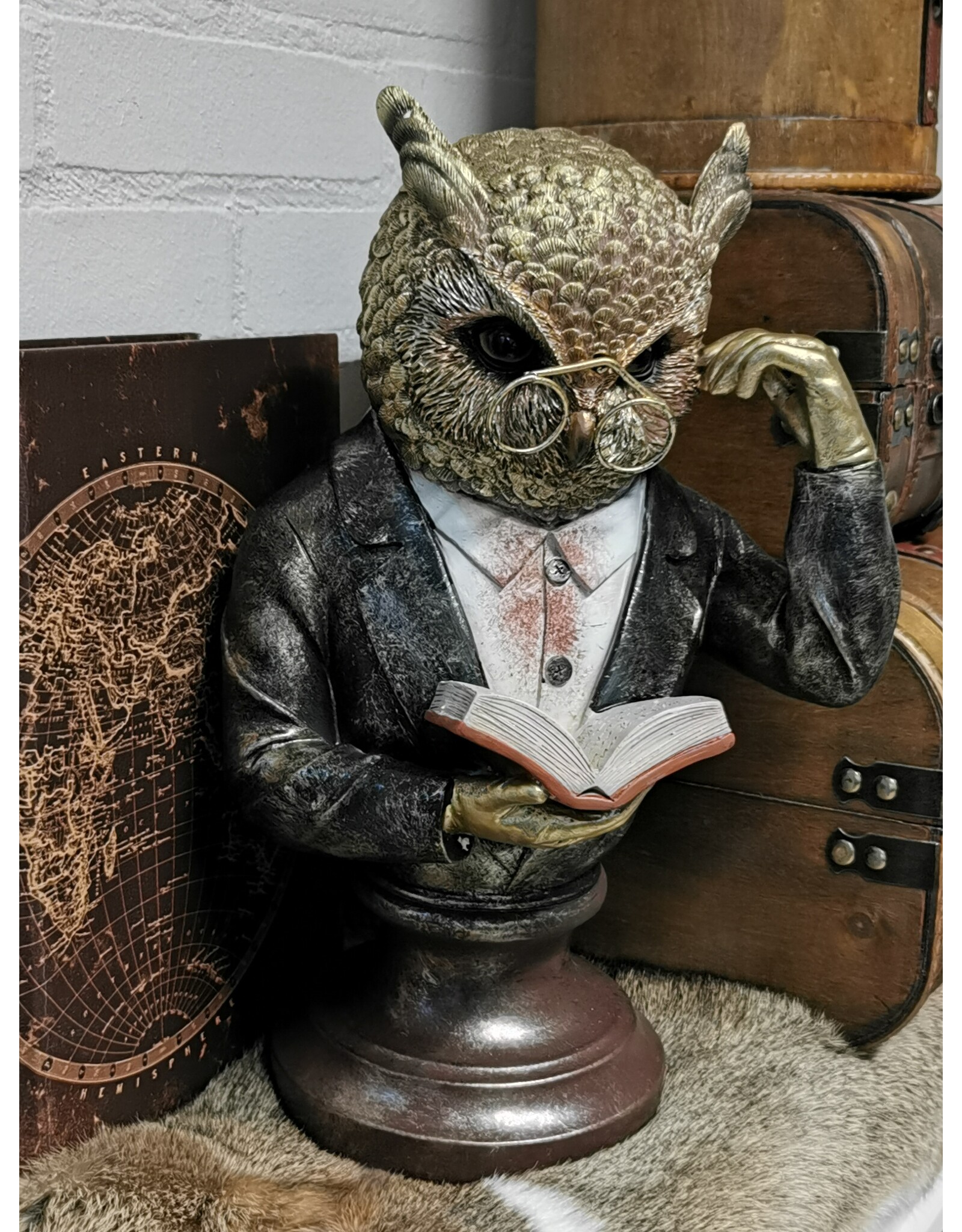 JB Giftware & Lifestyle - Uil met Monocle en Boek Buste 35,2cm