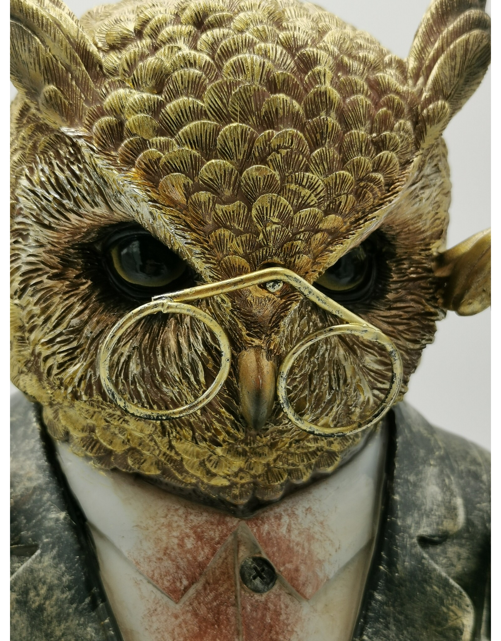 JB Giftware & Lifestyle - Uil met Monocle en Boek Buste 35,2cm