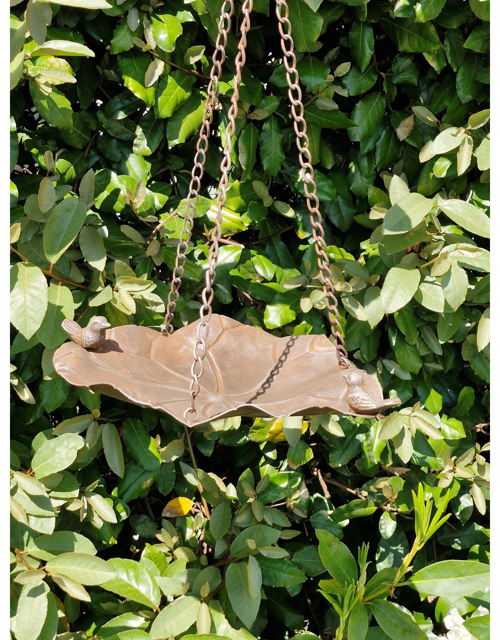 SH Miscellaneous - Birdbath-Feeding Bowl - leaf shaped rust brown