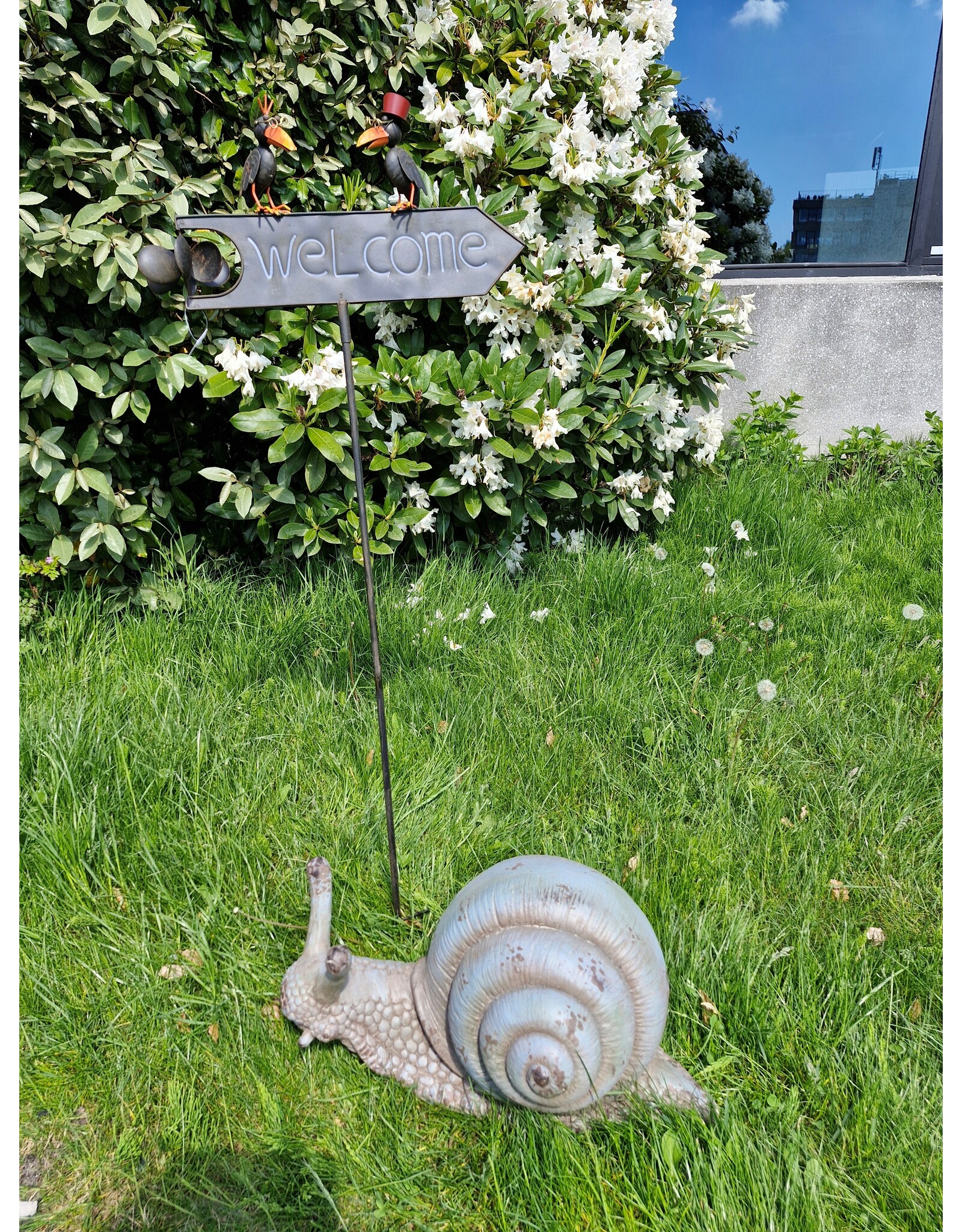 JB Giftware & Lifestyle - Snail Statue in Antique Style - MGO