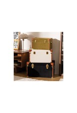 Atmosphera Miscellaneous -  Cabin Case/Travel Chest Twisted Lime set of 3 heavy quality