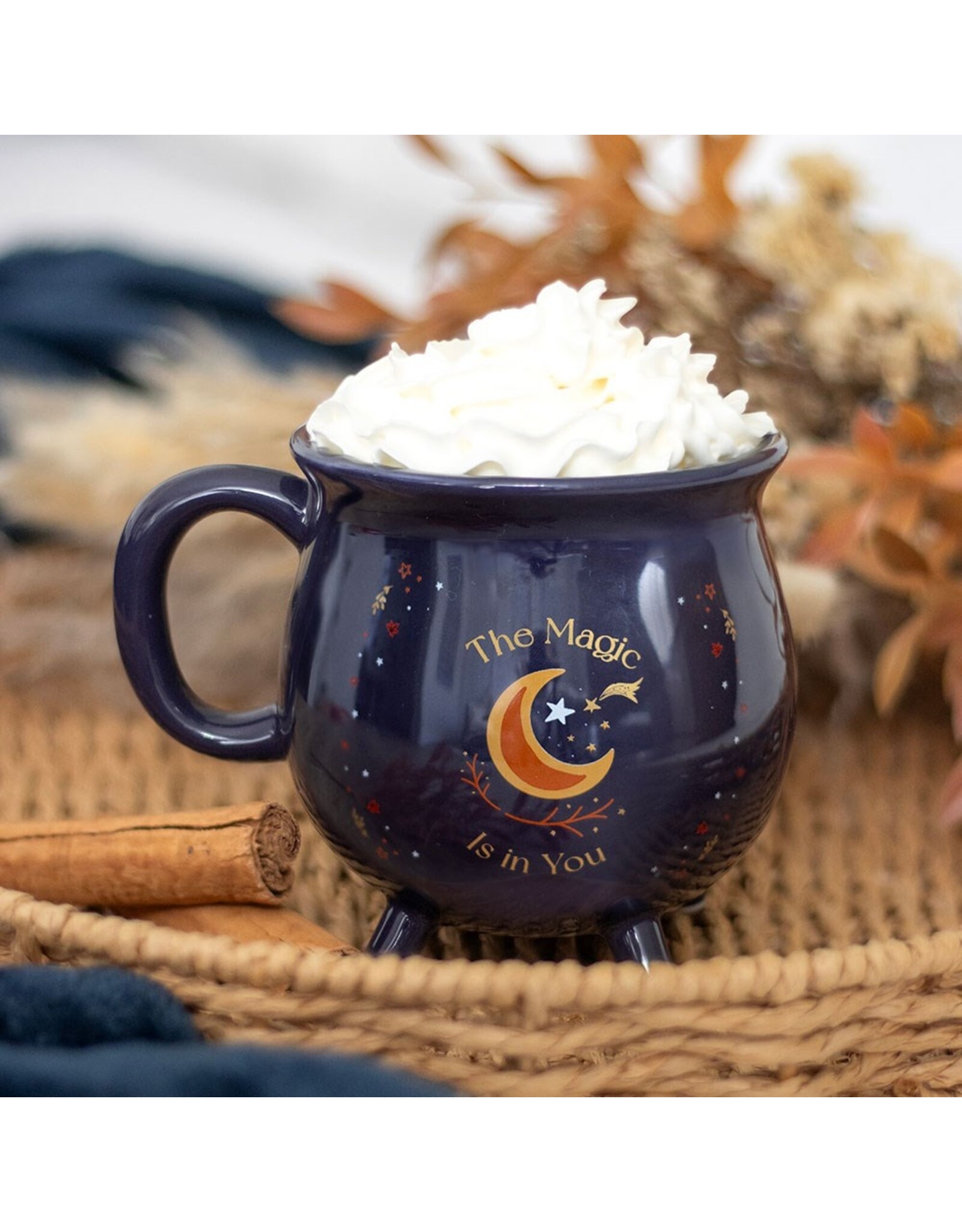 SDW Giftware & Lifestyle - The Magic is in You  Cauldron mug  - Midnight Blue