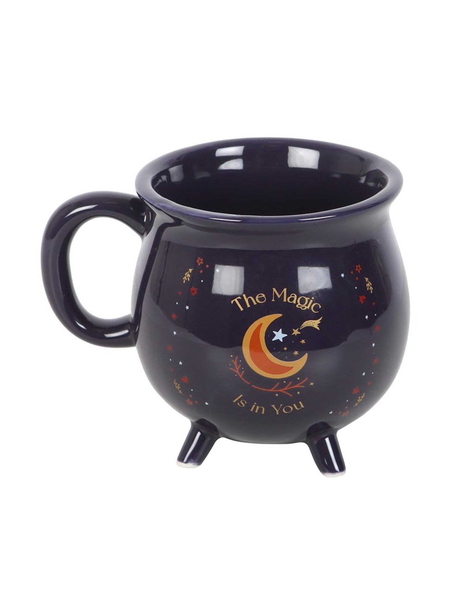 SDW Giftware & Lifestyle - The Magic is in You  Cauldron mug  - Midnight Blue
