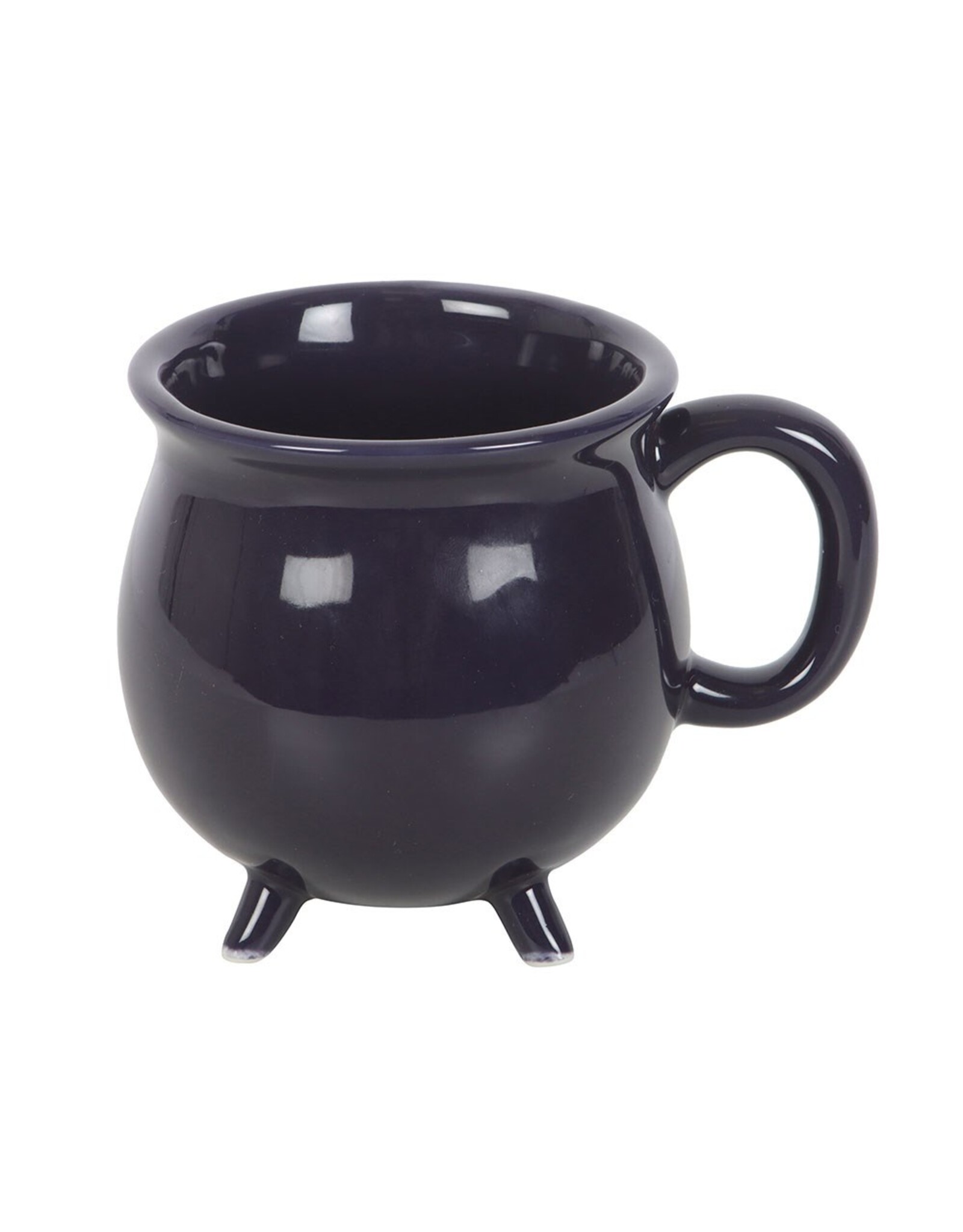 SDW Giftware & Lifestyle - The Magic is in You  Cauldron mug  - Midnight Blue
