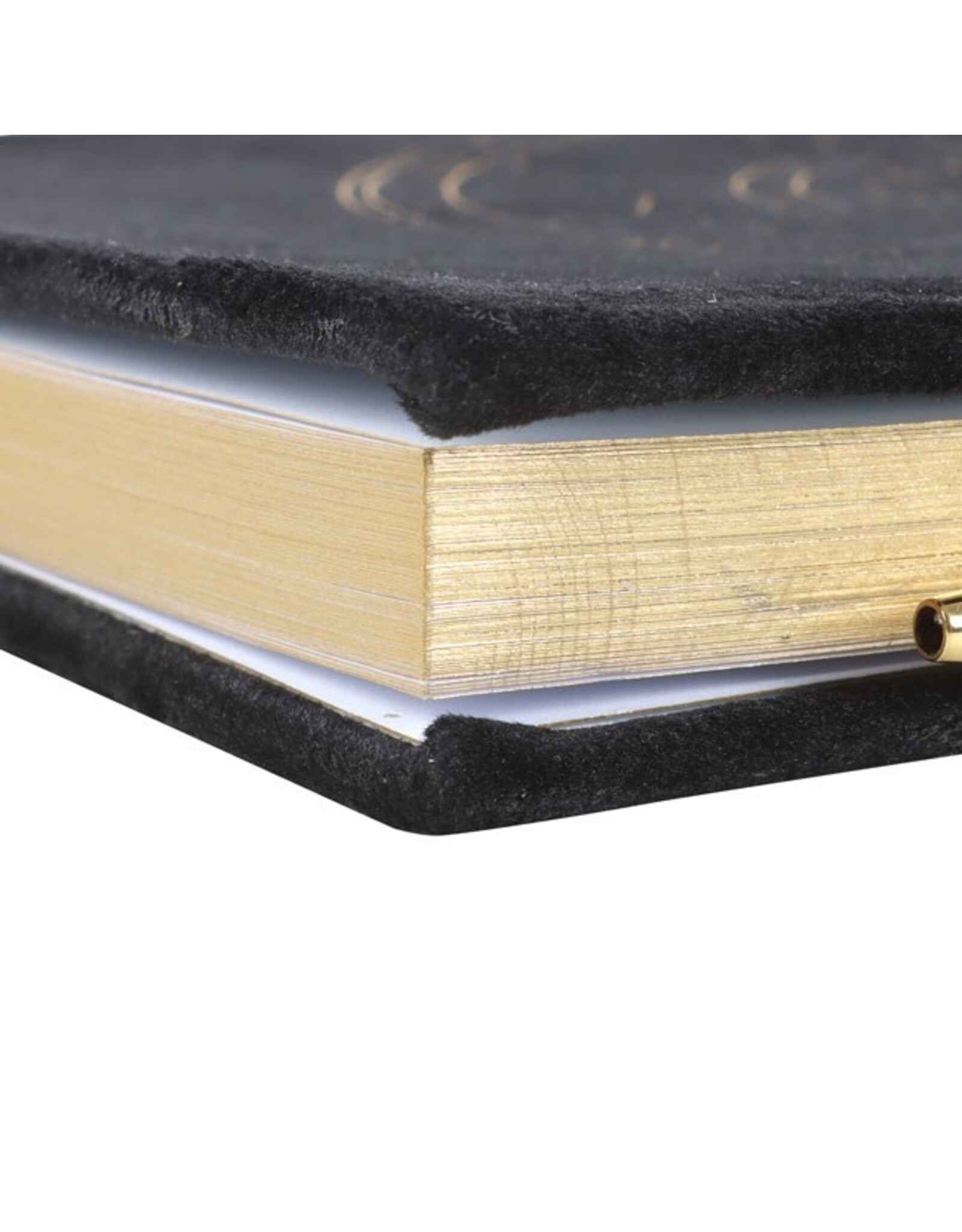 SDW Miscellaneous - Wiel van het Jaar A5 notitieboek