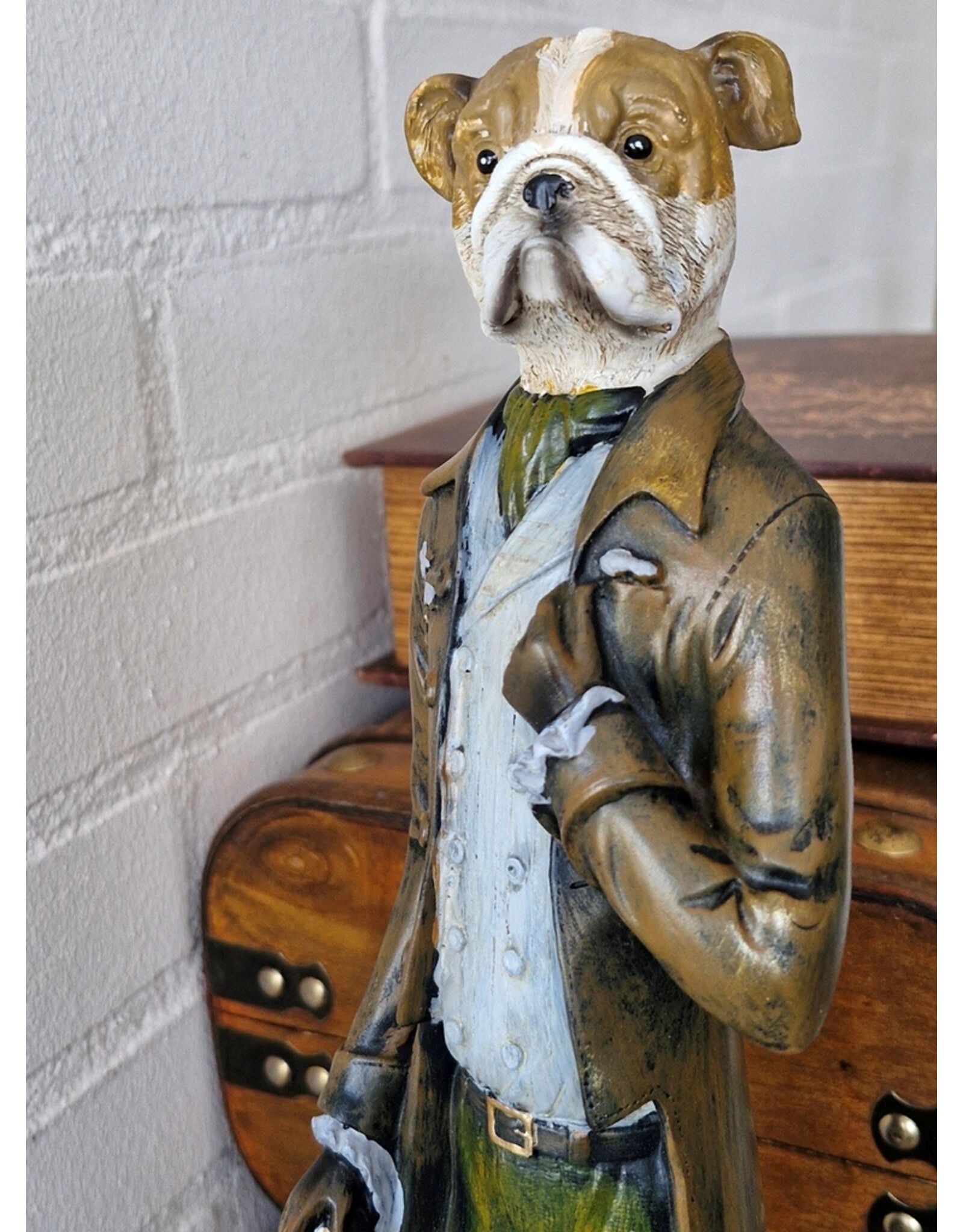 C&E Giftware, beelden, collectables - Boxer Hond Gentleman Beeld 50cm