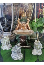 C&E Giftware Beelden Collectables  - Kikkerkoning met dienblad beeld 28cm