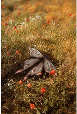 Restyle Fantasy bags and wallets - Metamorphosis Backpack Moth with movable wings