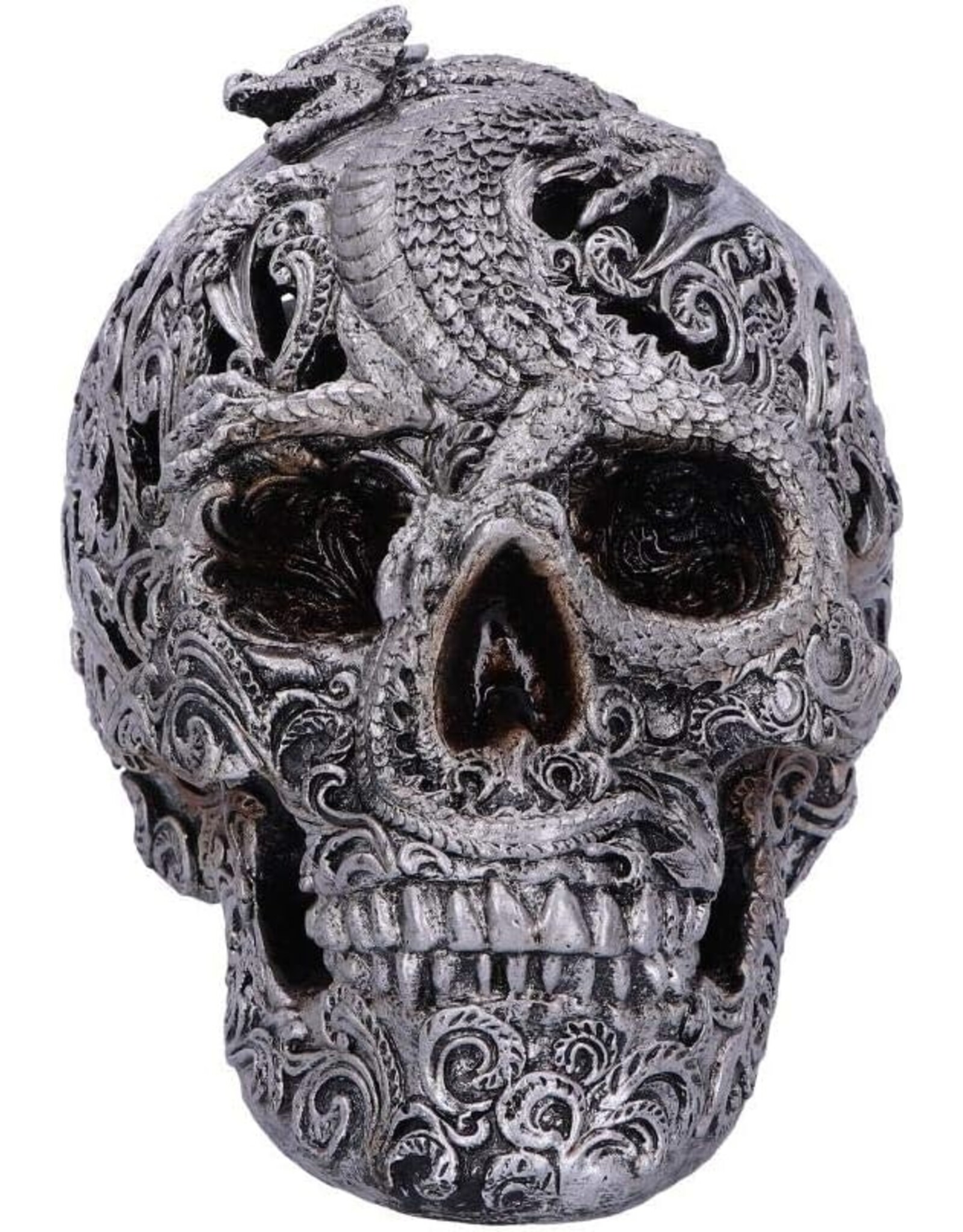 Alator Schedels - Schedel met gegraveerde Draak Cranial Drakos - Nemesis Now