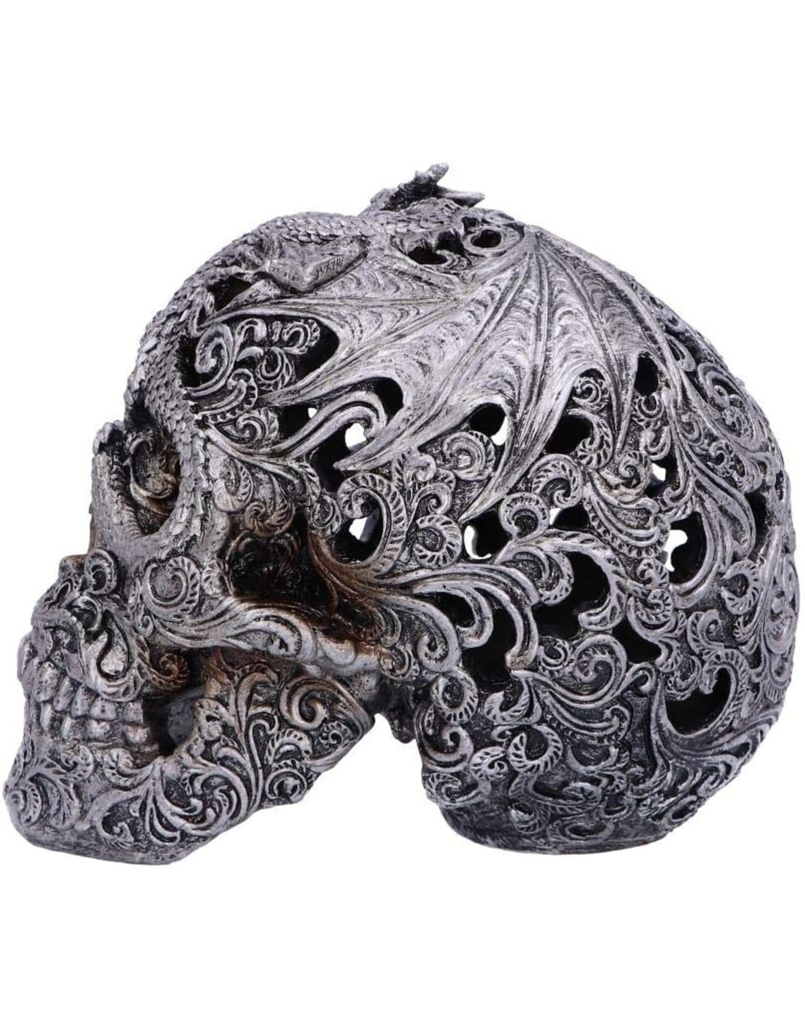 Alator Schedels - Schedel met gegraveerde Draak Cranial Drakos - Nemesis Now