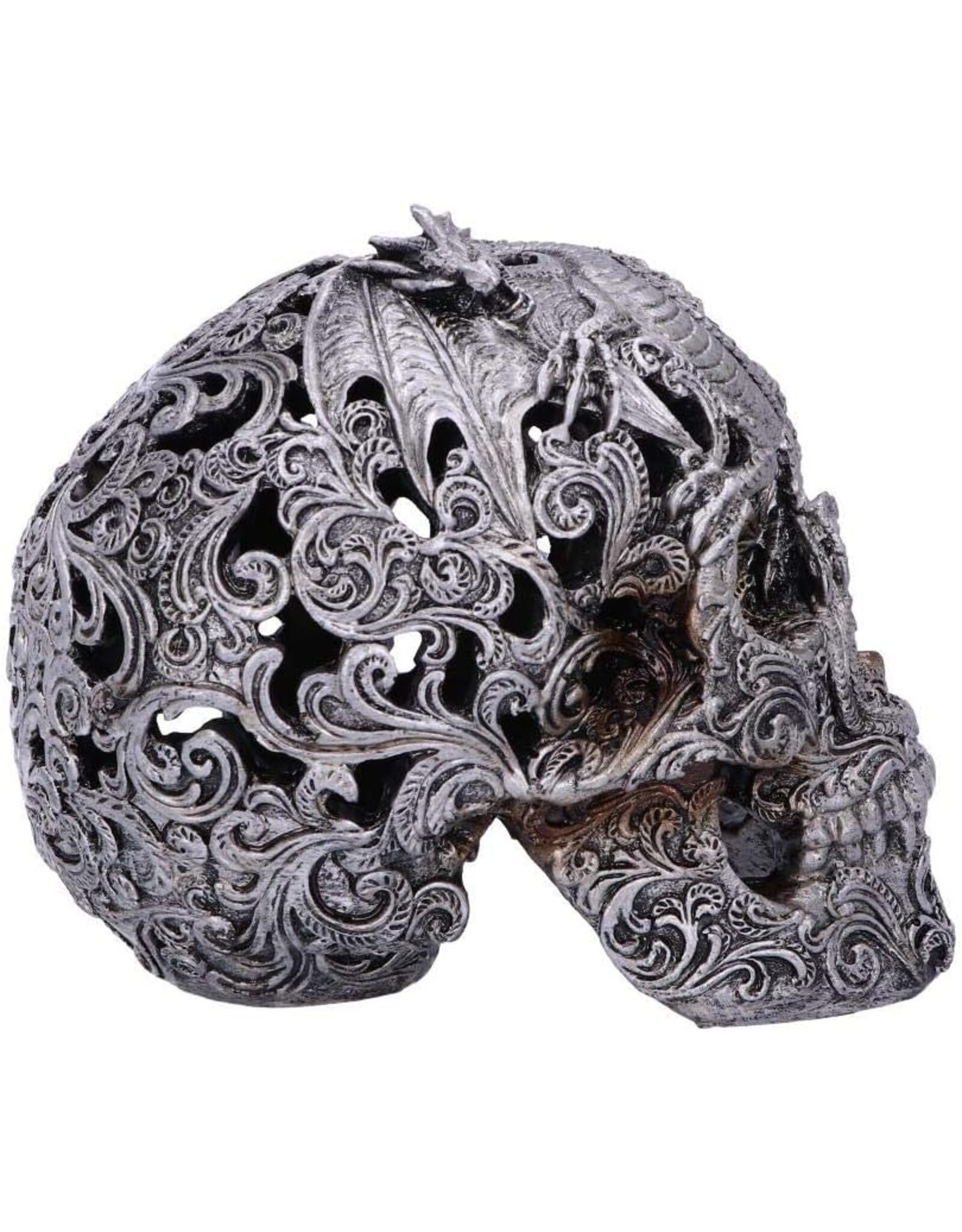 Alator Schedels - Schedel met gegraveerde Draak Cranial Drakos - Nemesis Now