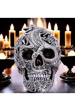 Alator Schedels - Schedel met gegraveerde Draak Cranial Drakos - Nemesis Now
