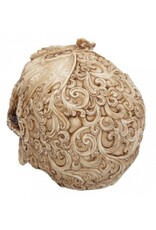 Alator Schedels - Schedel met gegraveerde Draak Cranial Drakos - Nemesis Now