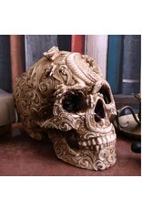 Alator Schedels - Schedel met gegraveerde Draak Cranial Drakos - Nemesis Now