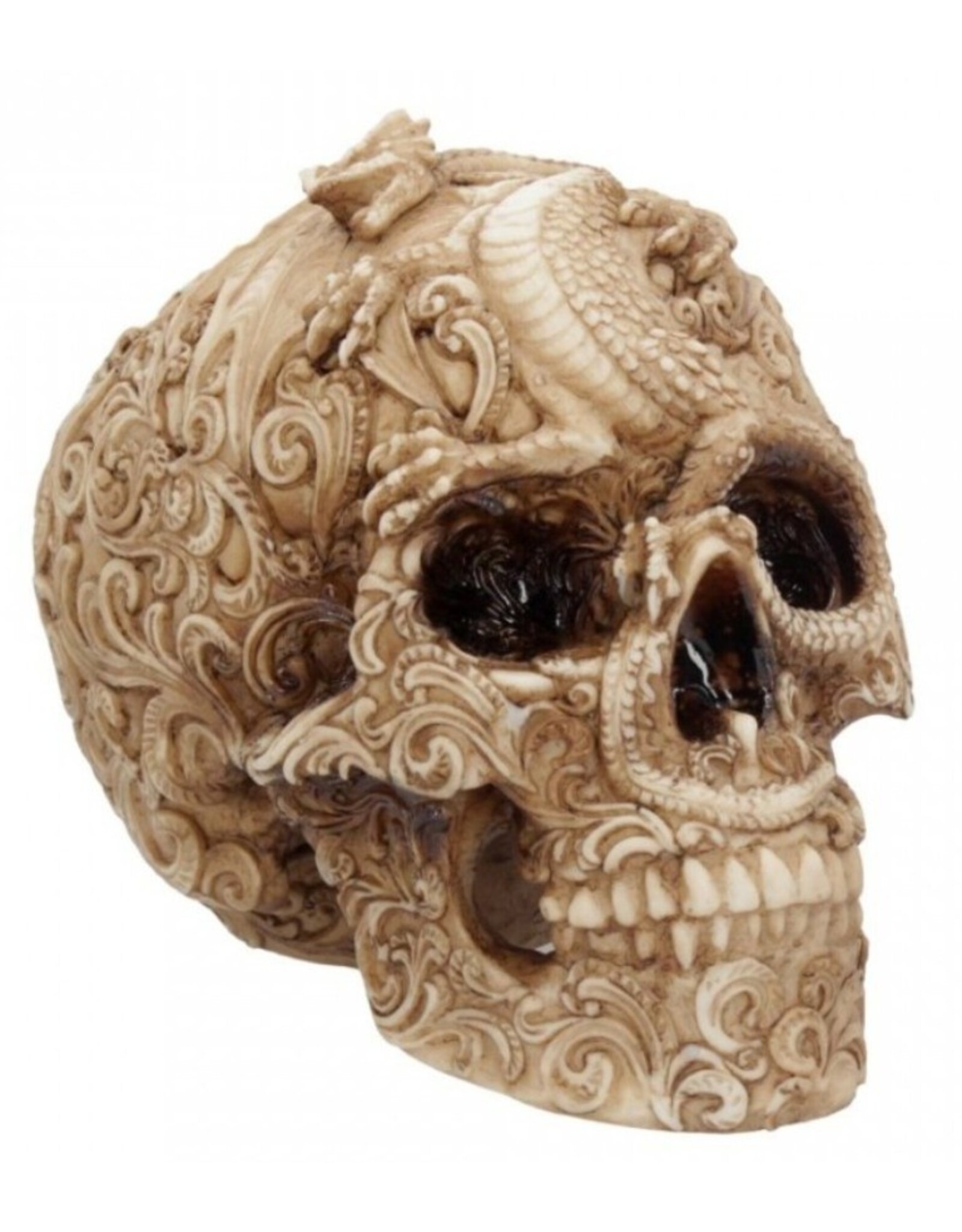 Alator Skulls - Skull with engraved Dragon ornament Cranial Drakos - Nemesis Now