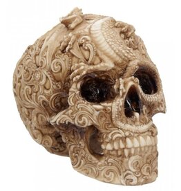 Alator Skull with engraved Dragon ornament Cranial Drakos