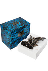 Veronese Design Giftware & Lifestyle - Faerie "Where moonbeams fall" by Josephine Wal