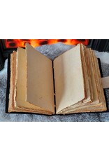 BB Miscellaneous - Princess with Lion Leather Journal 18x13cm