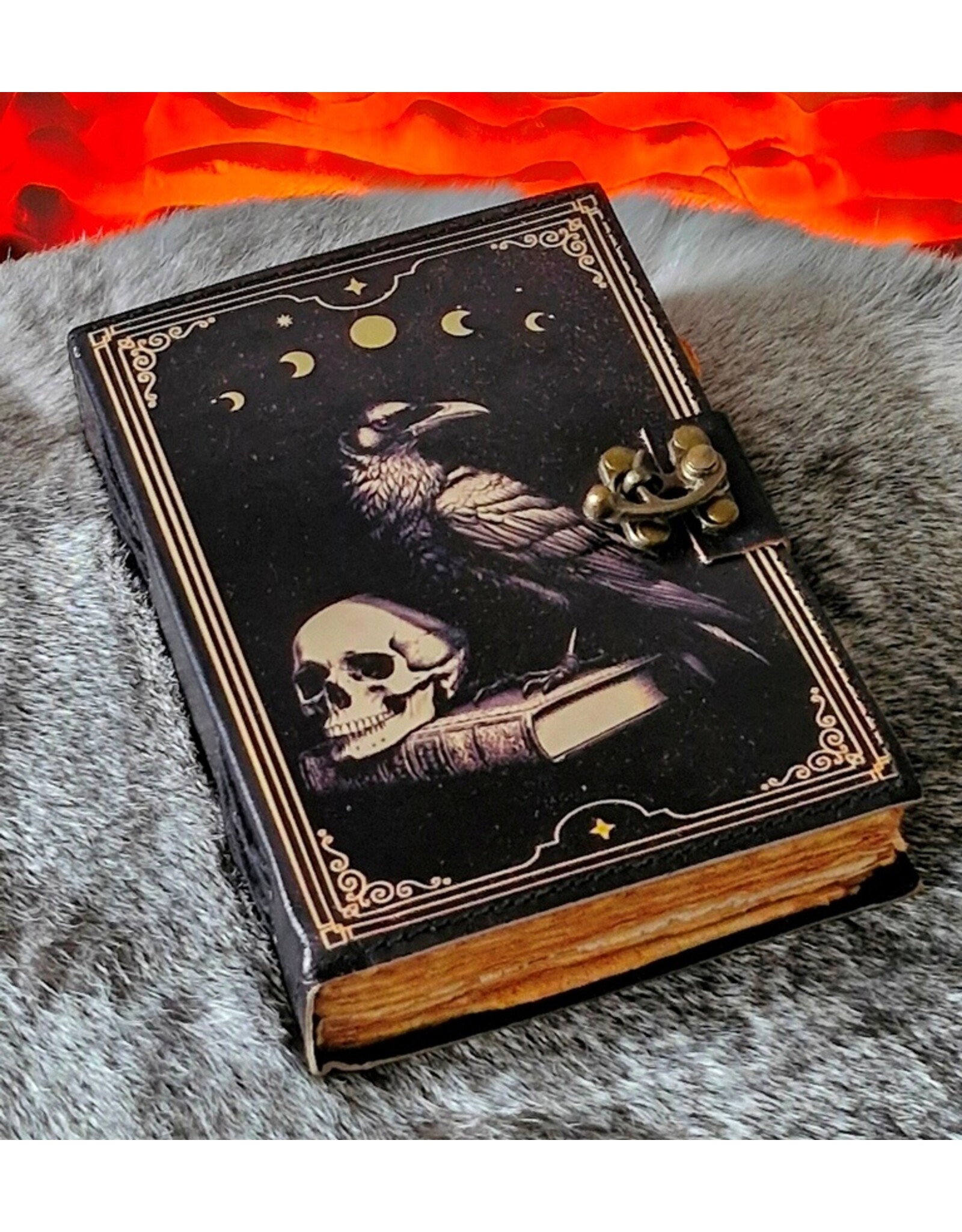 BB Miscellaneous - Poe's Raven Leren Dagboek 18x13cm