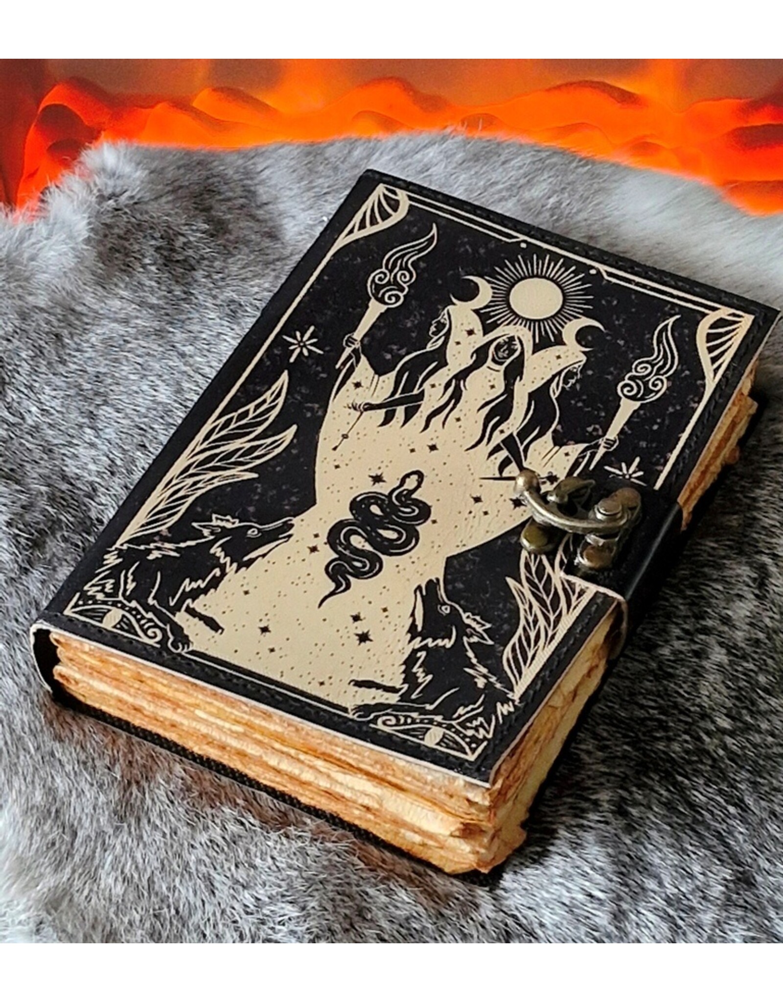 BB Miscellaneous -  Trinity Leren Dagboek 18x13cm