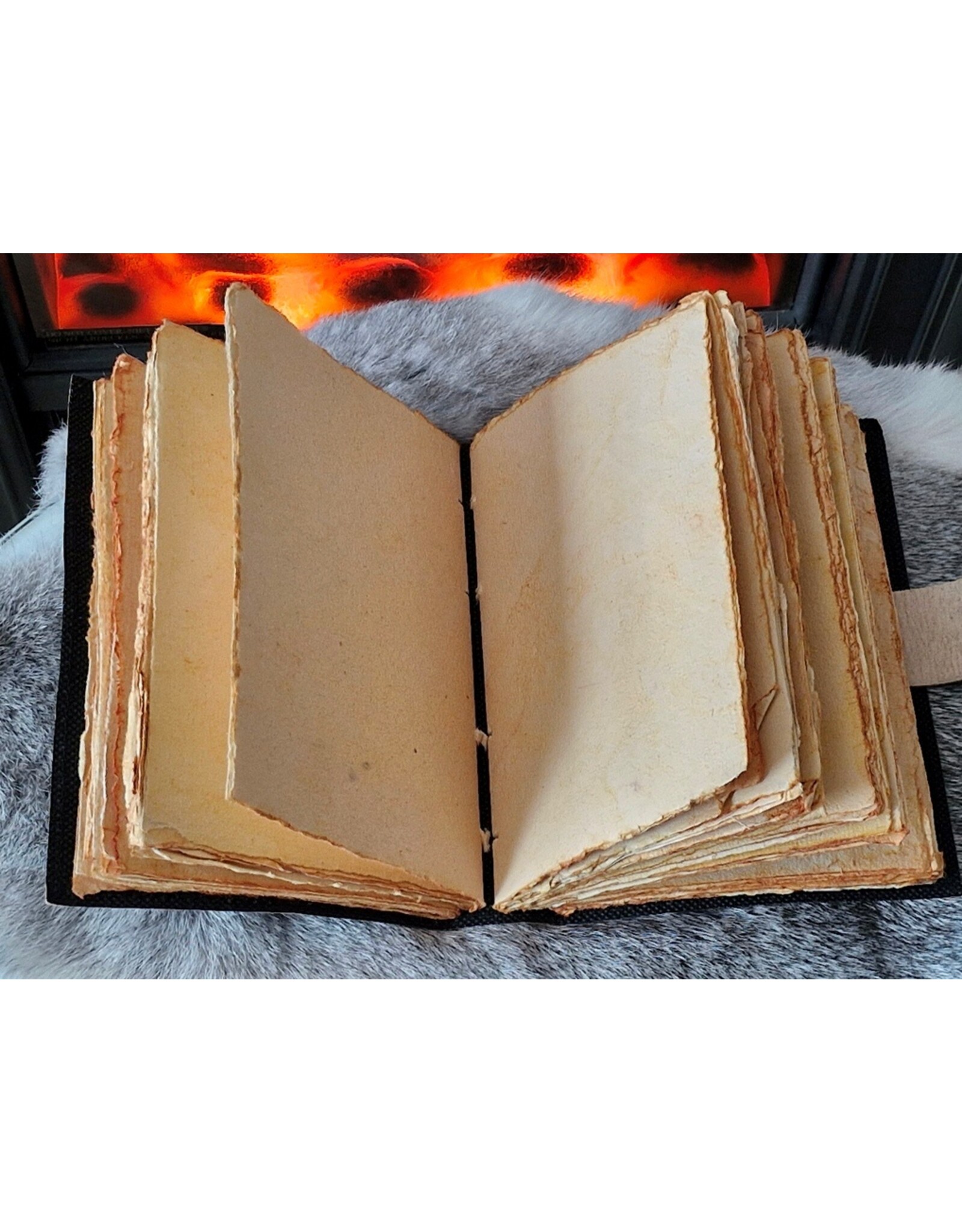 BB Miscellaneous -  Leren Dagboek met Draak 18x13cm