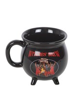Something Different Giftware & Lifestyle - Witches' Brew Cauldron Mug by Steven Rhodes