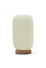 AWG Miscellaneous - Tafellamp / Bureaulamp New Wave Modern Gedraaid