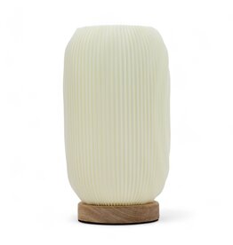 AWG New Wave Modern Twisted Table Lamp/Desk Lamp