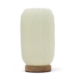 AWG Tafellamp / Bureaulamp New Wave Modern Gedraaid