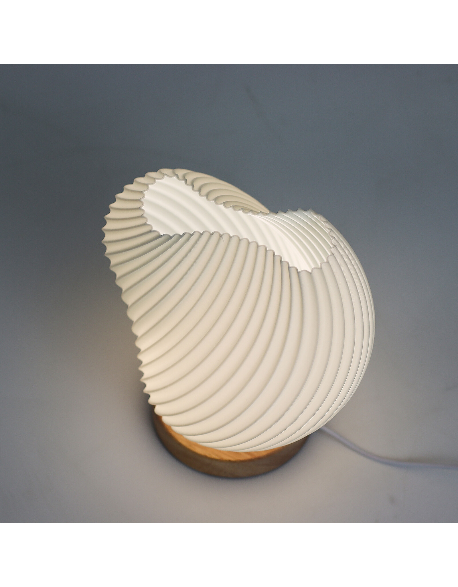 AWG Miscellaneous -  New Wave Shell Twisted Table Lamp/Desk Lamp