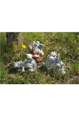 VG Giftware & Lifestyle - Garden Dragon "Good Morning" - Dragon statue 28cm