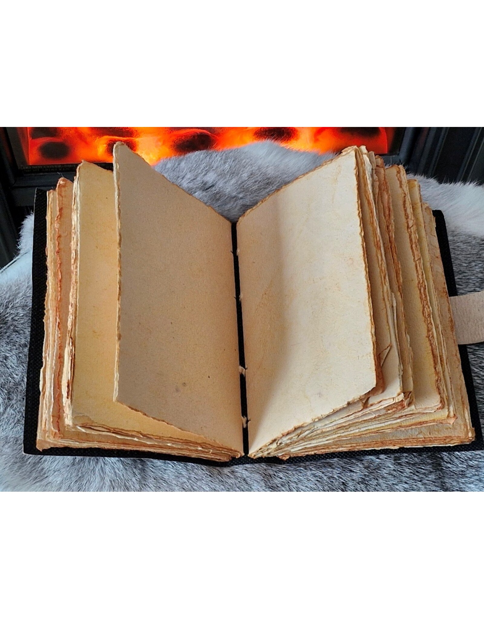 BB Miscellaneous - Sacred Dragon Leather Journal 18x13cm