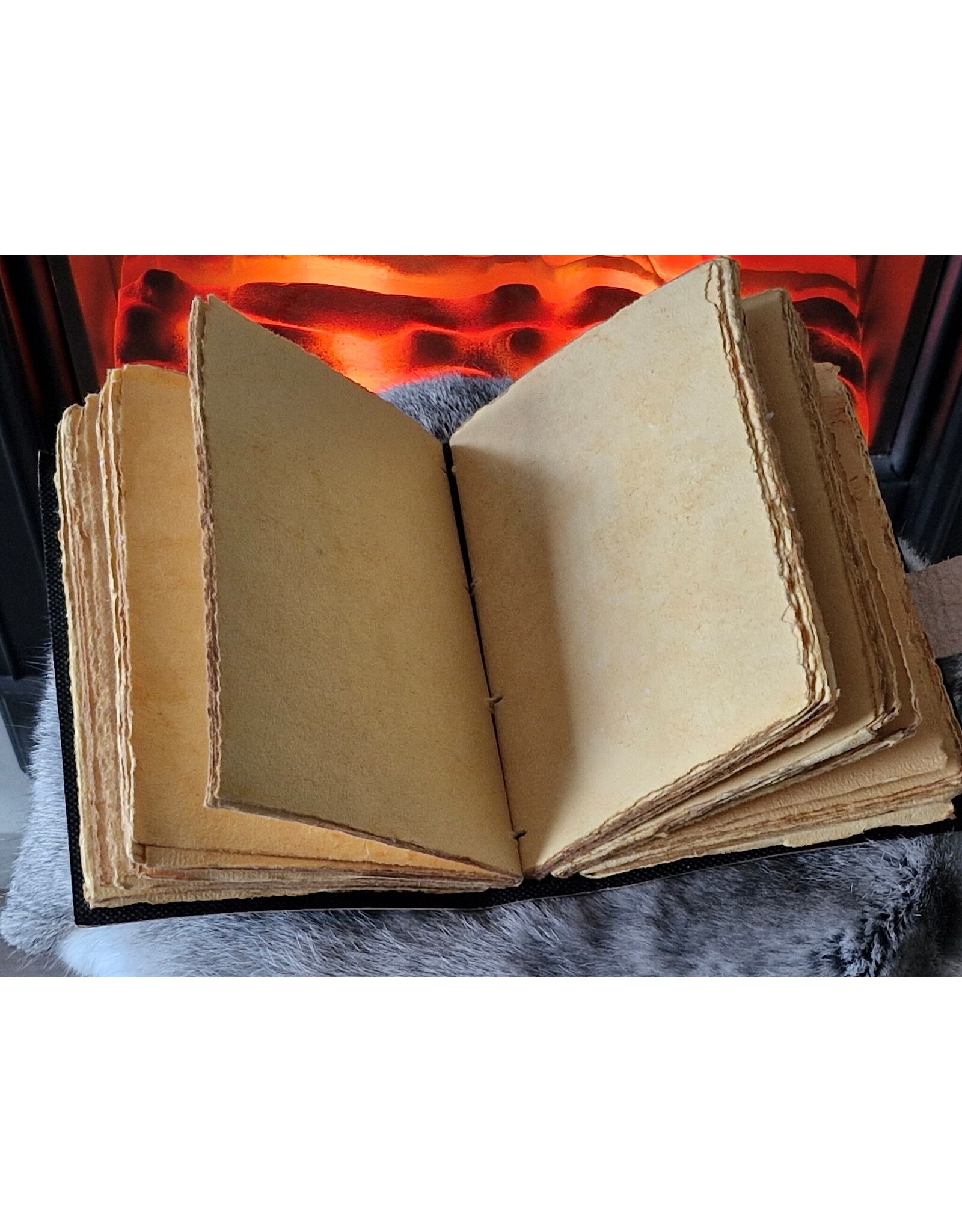 BB Miscellaneous -  Leather Diary Moths and Moon 18x13cm