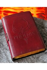 RK Handicrafts Miscellaneous - Harry Potter Leren Dagboek Het Gouden Snaai 18x13cm