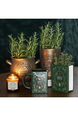 SWD Giftware & Lifestyle - Herbal Magic Bronzen Terracotta Ketel Plantenpot