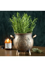 SWD Giftware & Lifestyle - Herbal Magic Bronze Effect Terracotta Cauldron Plant Pot