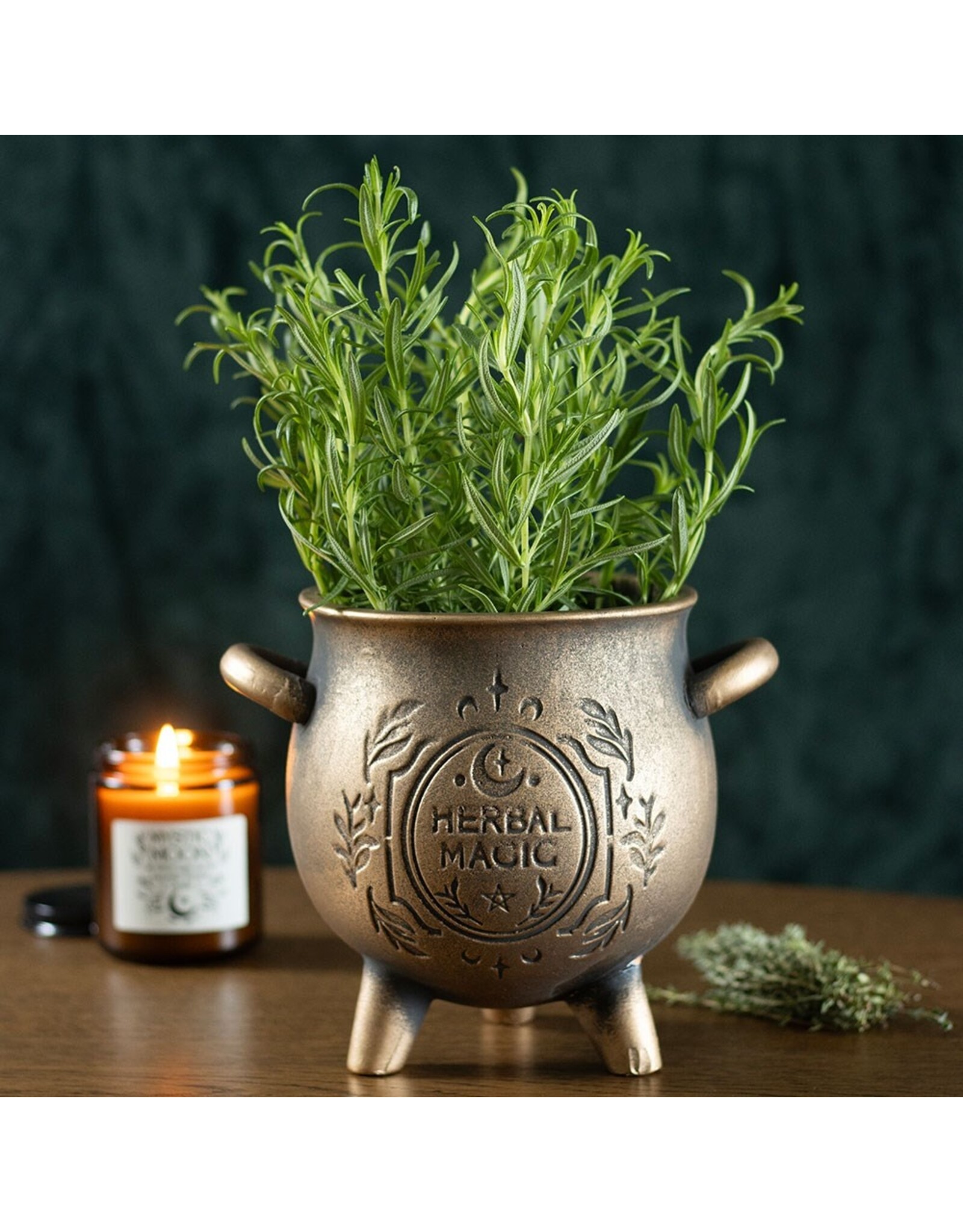 SWD Giftware & Lifestyle - Herbal Magic Bronzen Terracotta Ketel Plantenpot