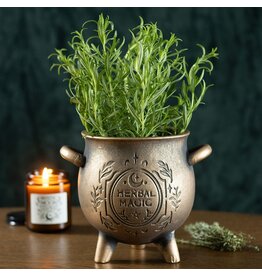 SWD Herbal Magic Bronze Effect Terracotta Cauldron Plant Pot