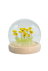 AWG Miscellaneous - Floral Glow Garden Dome – 20 Sunflowers – LED USB