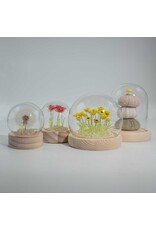 AWG Miscellaneous - Floral Glow Garden Dome – 20 Mix Tulips – LED USB